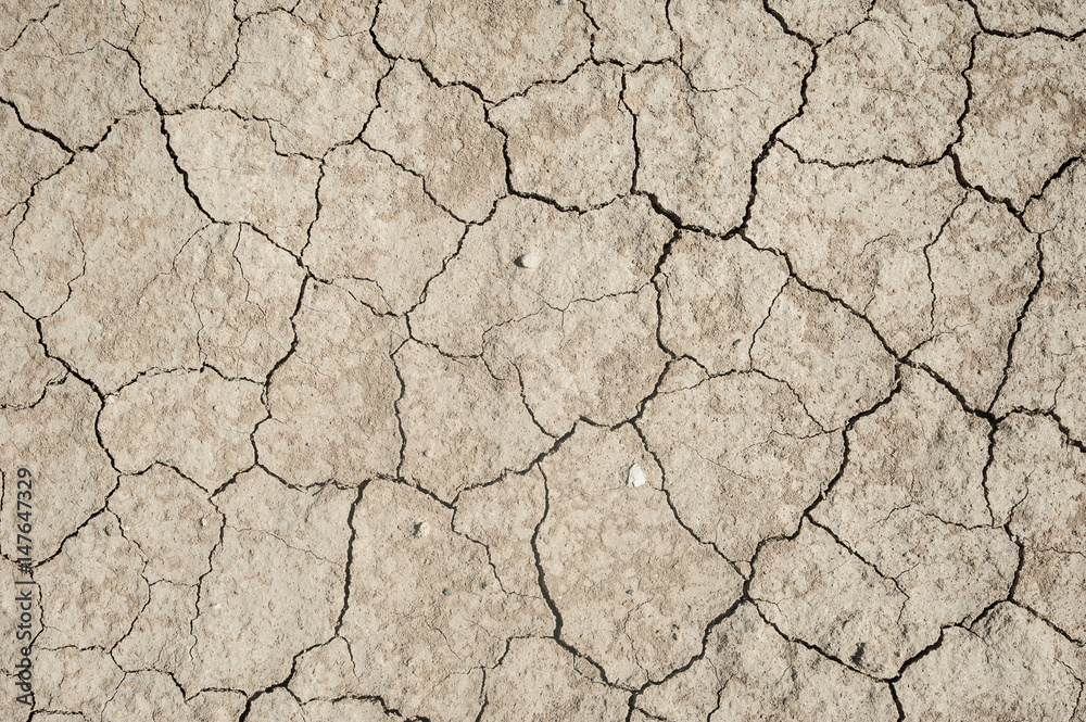 Texture of scorching sand
Texture of scorching sand