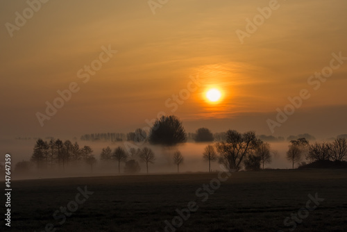 Ruppiner Landschaft