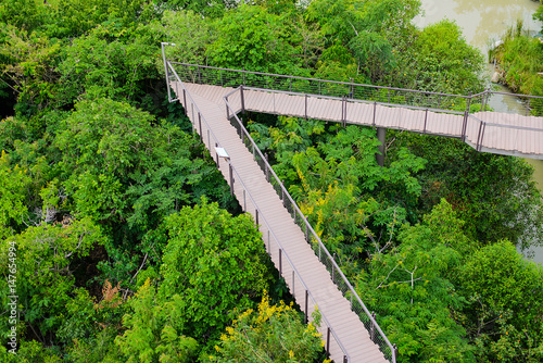 long wood bridge in the green forest park and the canal near the big city