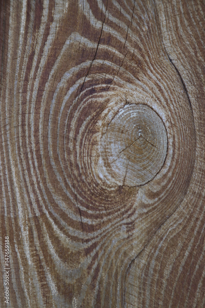 Fototapeta premium Holzmuster