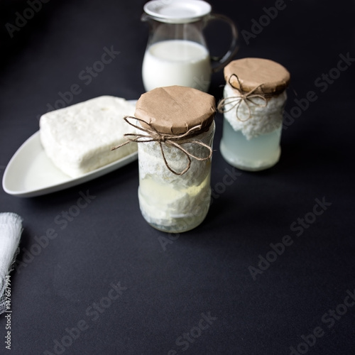 Cheese and natural yoghurt prepared from sweet milk photo