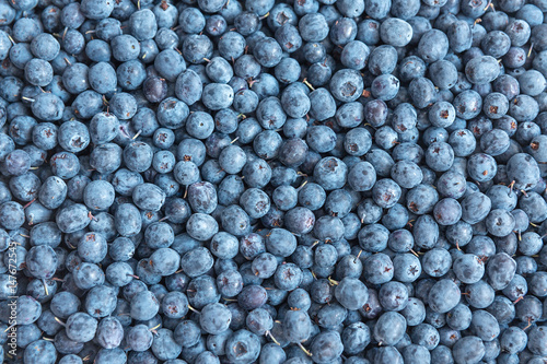 Food background with berries blueberries. Blueberries are scattered on the surface. Forest berry blueberries. Growing in a swamp in the middle lane. Used in medicine, food and confectionary industries