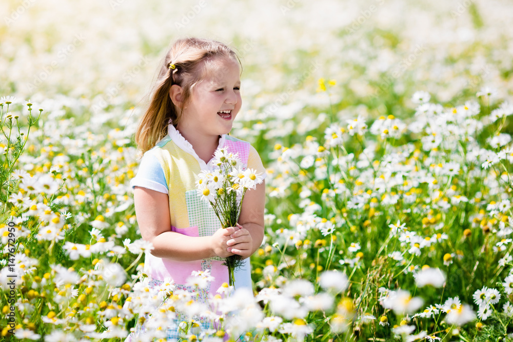 Little girl picking flowers in daisy field Little girl picking flowers in daisy field