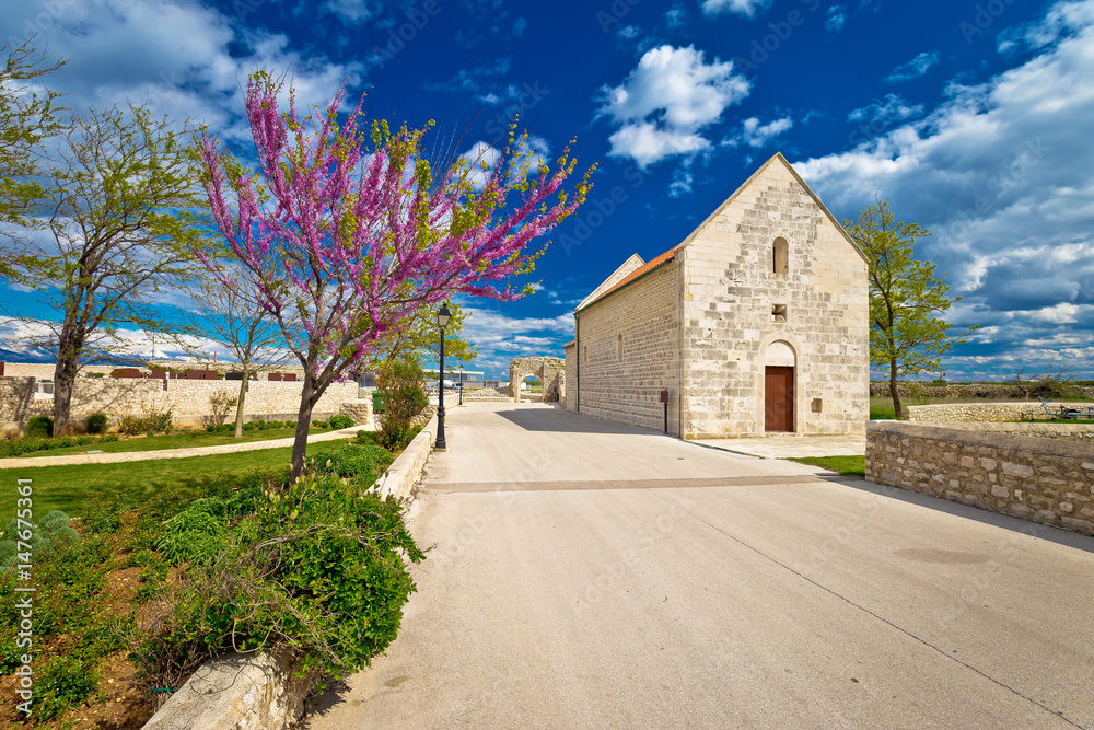 Fototapeta premium Town of Nin old stone street springtime view