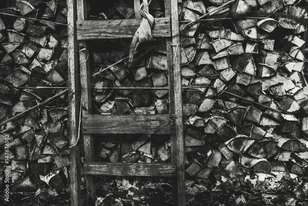 Fototapeta premium Black and white shooting of firewood stock with old wooden ladder near them, woods storage with shabby timbered stepladder on dark moody winter or springtime day with dry oak leaves on the ground