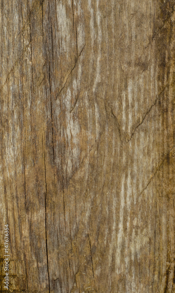 Background of the wooden board Background of the wooden board