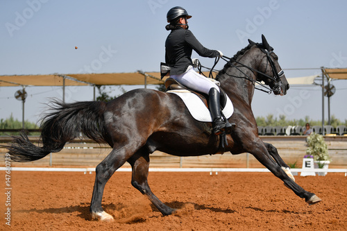 Dressage rider galloping on a bay horse 