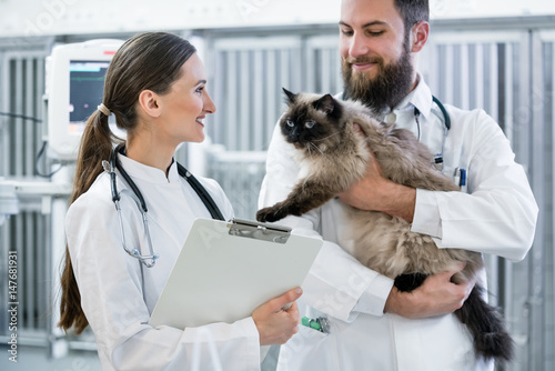 Fototapeta Naklejka Na Ścianę i Meble -  Veterinäre oder Tierärzte in tierärztlicher Intensivstation halten Katze im Arm