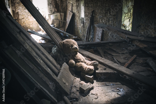Fotografie L' ours abandonné