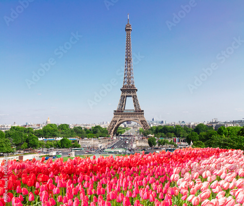 Eiffel Tower and Paris skyline in spring sunny day with tulips flowerbed, France