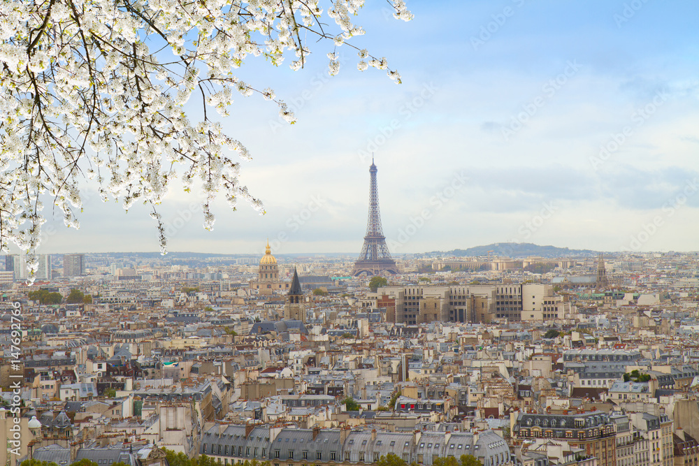 skyline of Paris city roofs with Eiffel Tower from above with spring tree, France