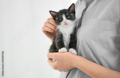 Woman holding cute little kitten on blurred background