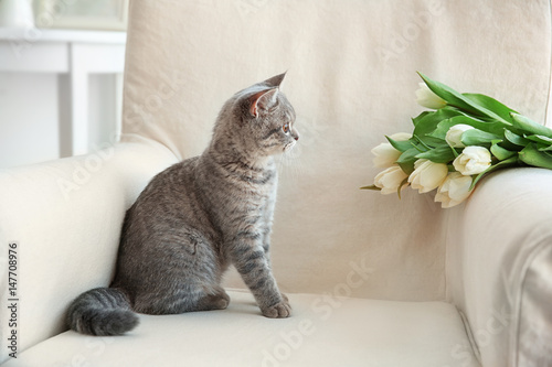 Cute cat sitting in armchair with flowers