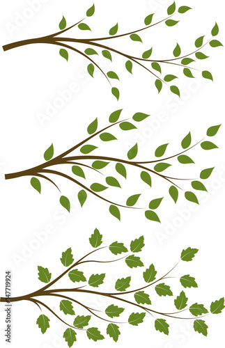 Set of 3 brown vector floral branches with green leaves