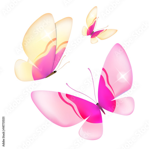 color butterflies,isolated on a white background