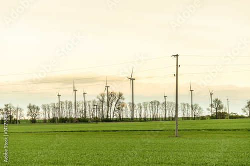 Wind turbines on a field during sunset photo