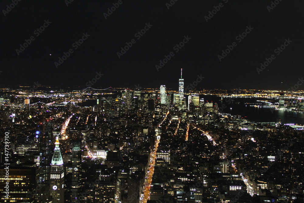 Fototapeta premium New York skyline at night