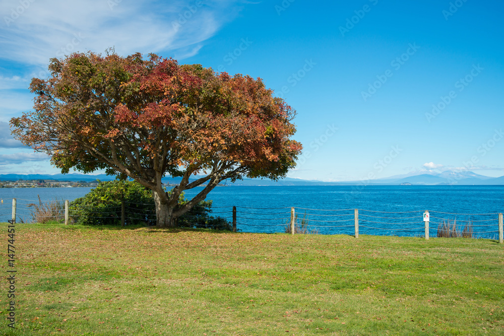 Lake Taupo the largest fresh water lake in Autumn season of New Zealand.