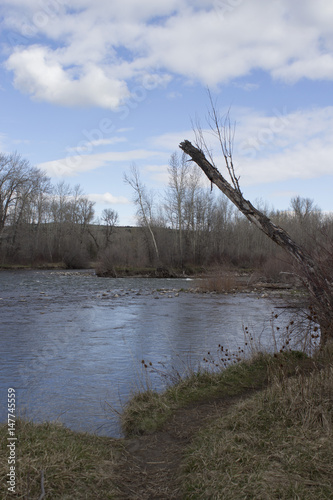 Gallatin river