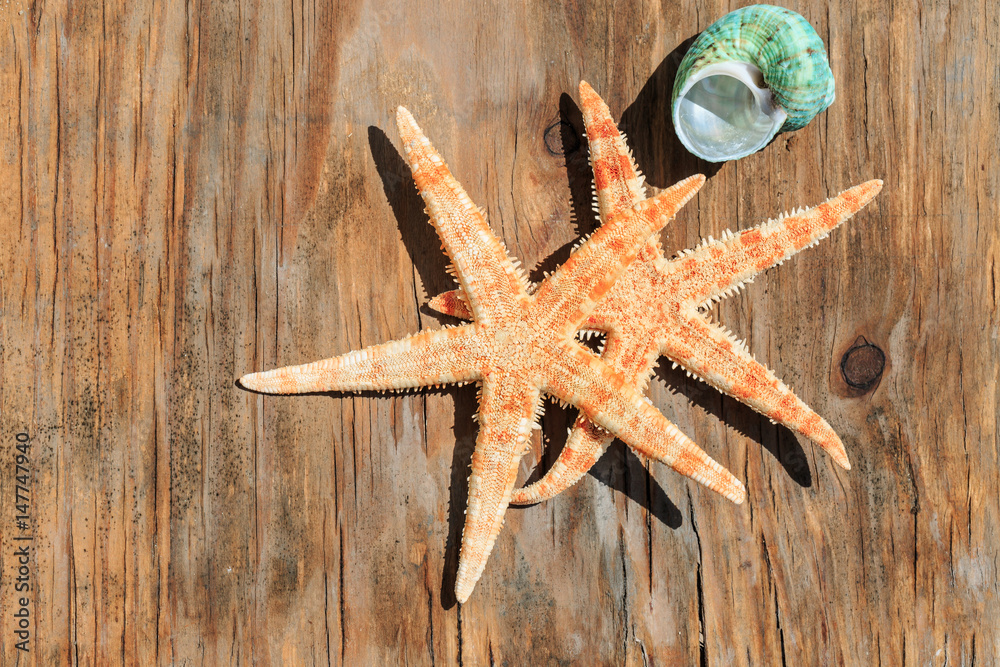Starfish on a wooden background Starfish on a wooden background