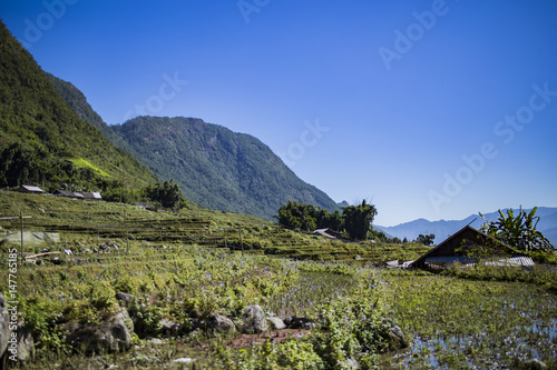 Tiered rice paddies in the mountains, near Sapa, Vietnam
