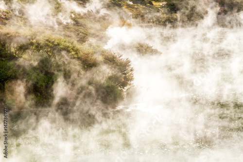geothermal valley waimangu near rotorua, new zealand © Alena Yakusheva