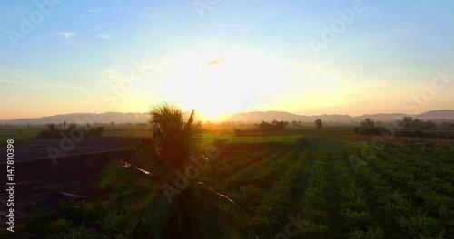 aerial photography in the morning around the fruit fields and vegetable fields photo