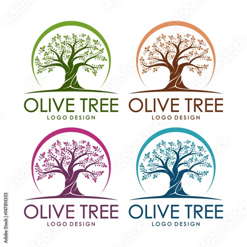 Olive Tree Design Logo Template