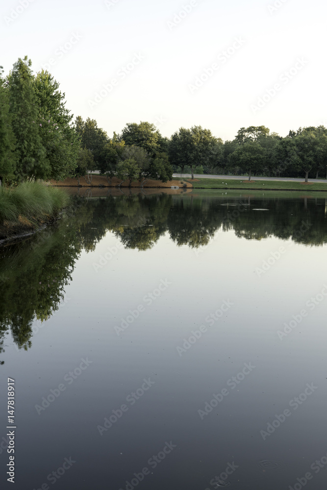 Lake with trees reflected along the bank