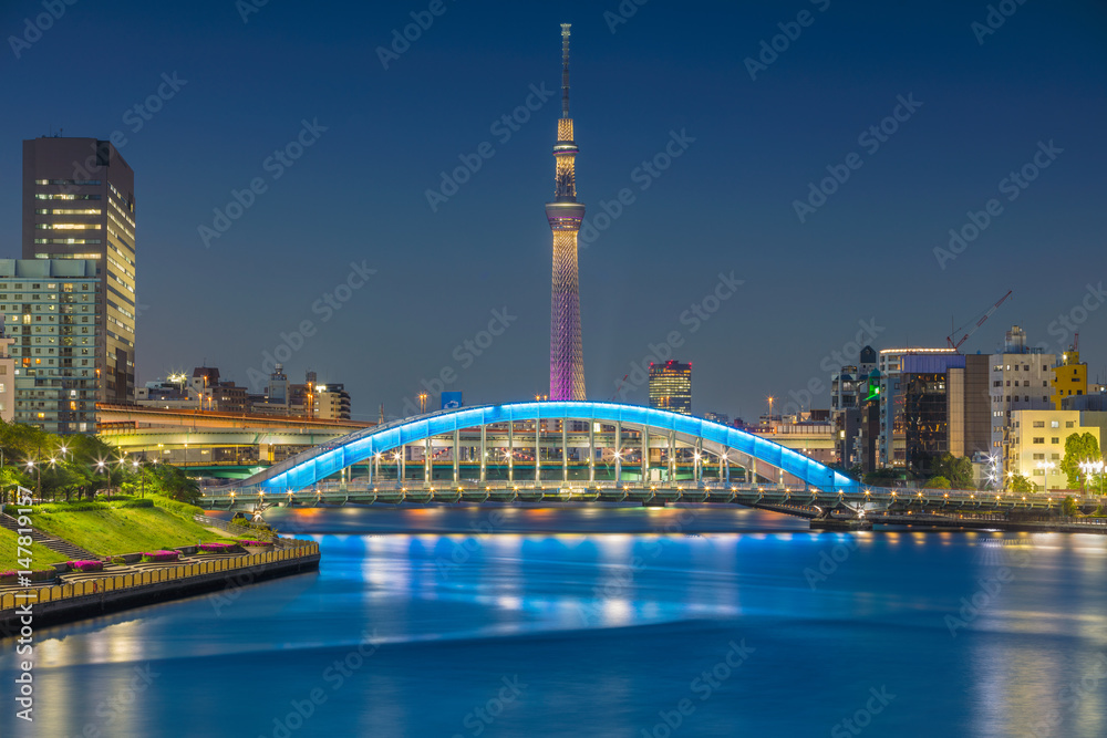 Fototapeta premium Tokyo. Cityscape image of Tokyo skyline during twilight in Japan.
