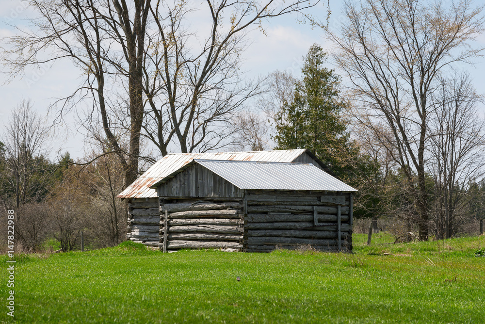 Obraz premium Old log homes