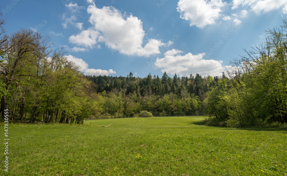 Scenic green landscape of Unesco protected regional park Rakov Skocjan in Slovenia during springtime