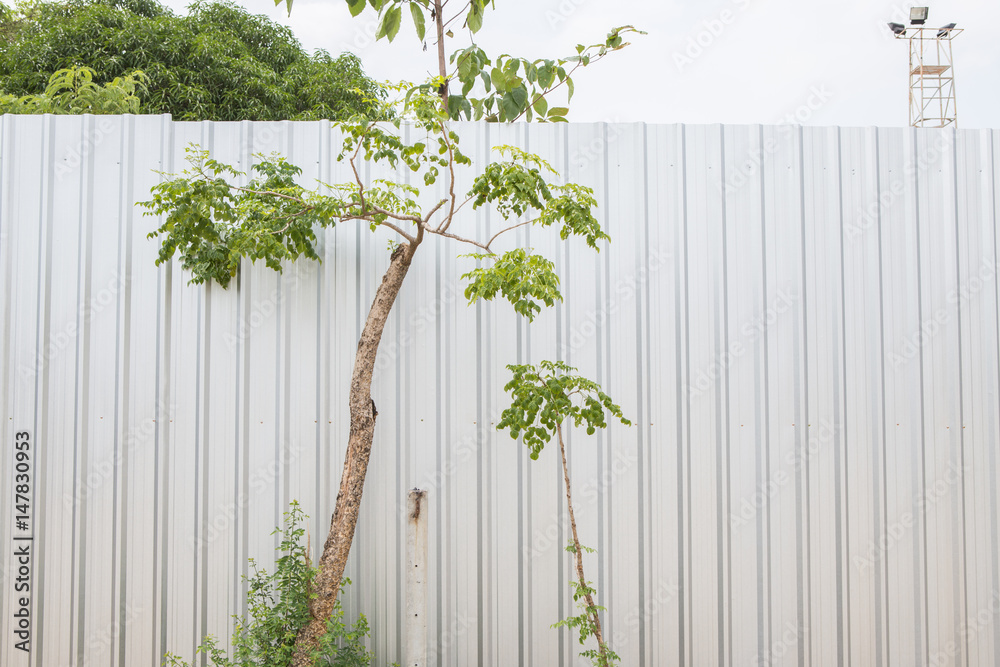 Fototapeta premium zinc wall