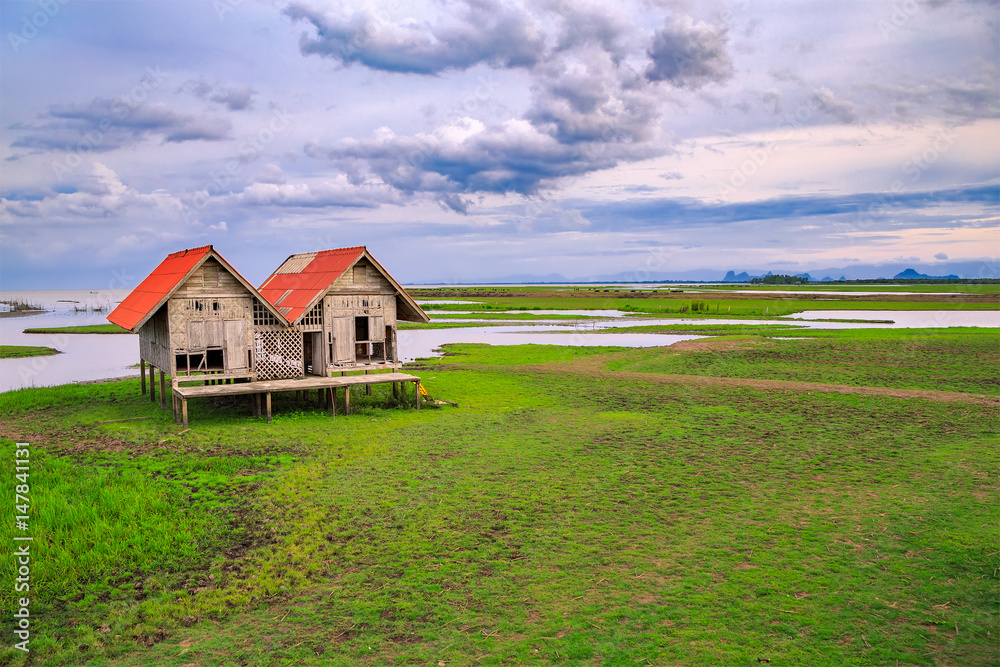Damaged Old Two Red Roof Huts on The Green Field with the Blue Sky at Thalesap Songkhla and Thale Noi Waterfowl Reserve Park in Phatthalung ,Thailand
Damaged Old Two Red Roof Huts on The Green Field with the Blue Sky at Thalesap Songkhla and Thale Noi Waterfowl Reserve Park in Phatthalung ,Thailand