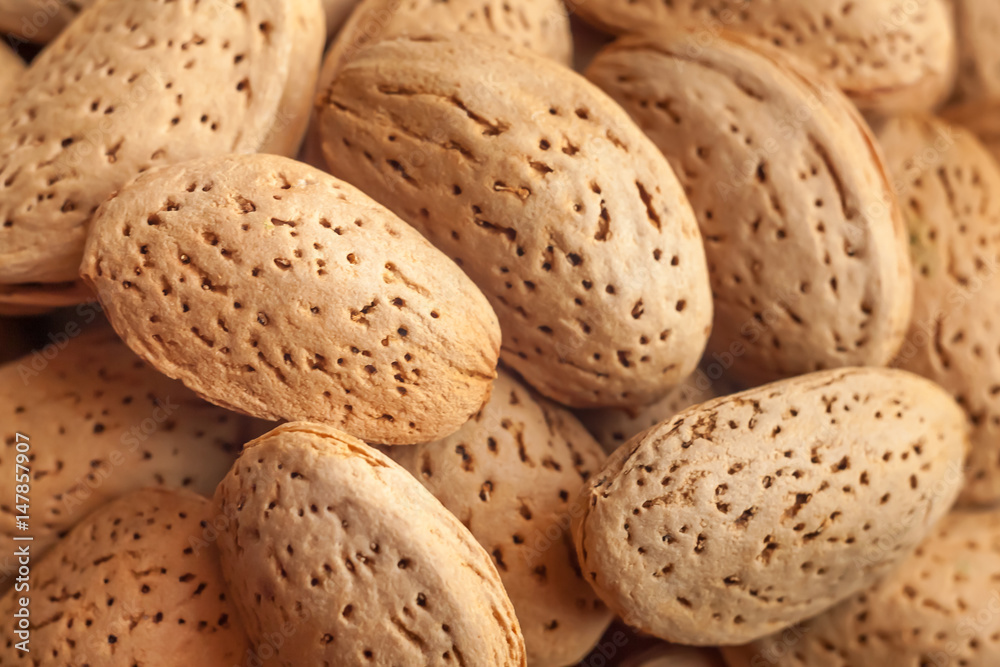 a close up macro shot of lot of almond nuts in the shell with selective focus a close up macro shot of lot of almond nuts in the shell with selective focus