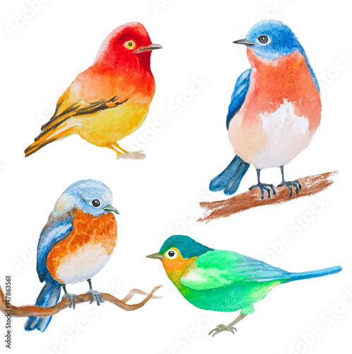 set of watercolor birds isolated on white