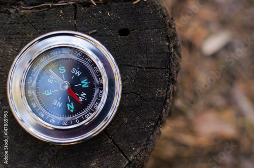 Obraz na płótnie Compass lying on the stump