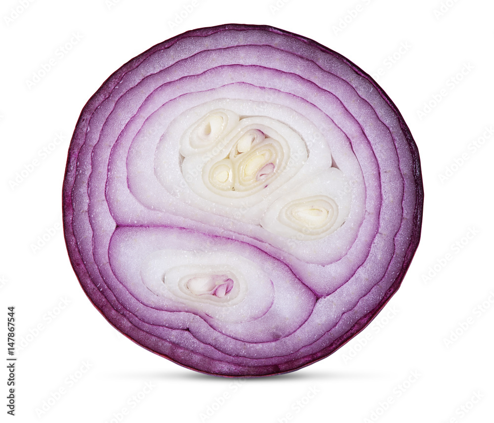 slice of pink onion close up. Isolated slice of pink onion close up. Isolated