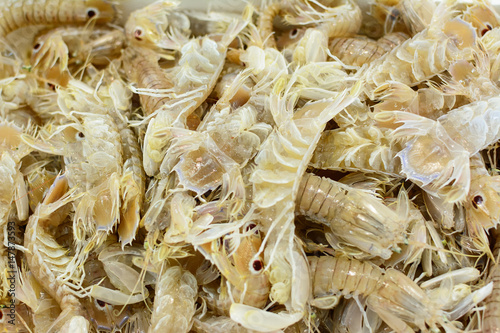 squilla mantis in a seafood market photo