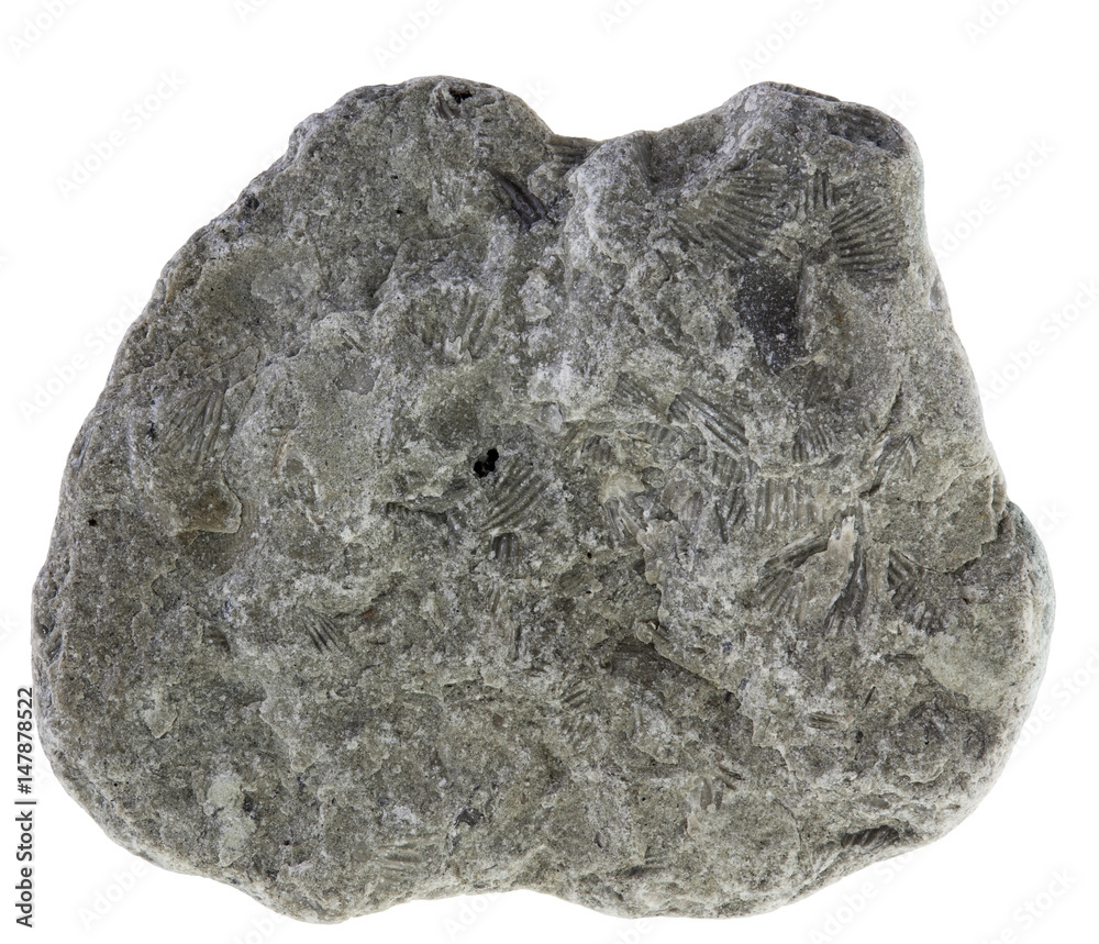 Rock
