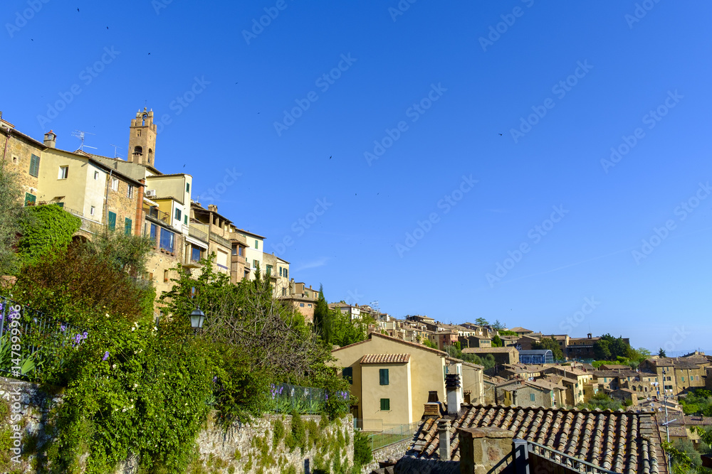 View of Montalcino Tuscany