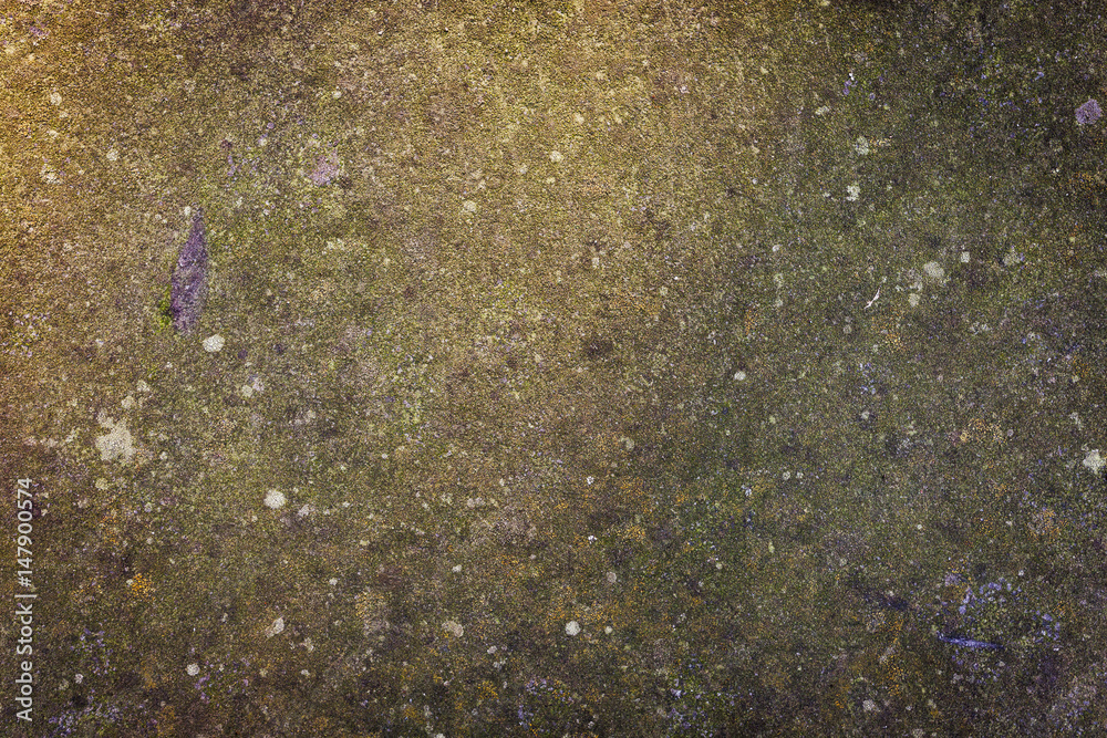 Moss