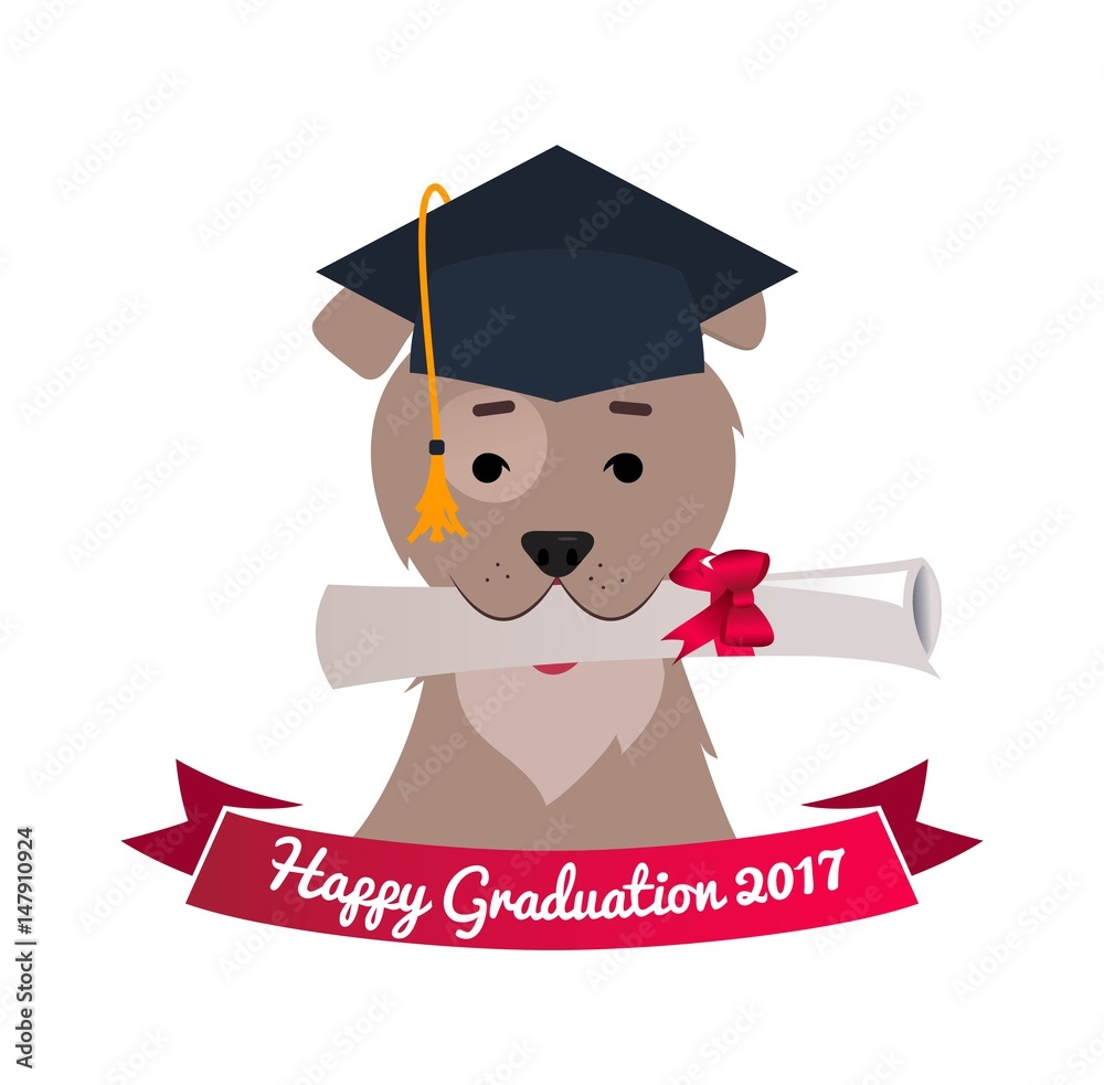 Dog in graduation cap holding diploma with mouth. Celebration