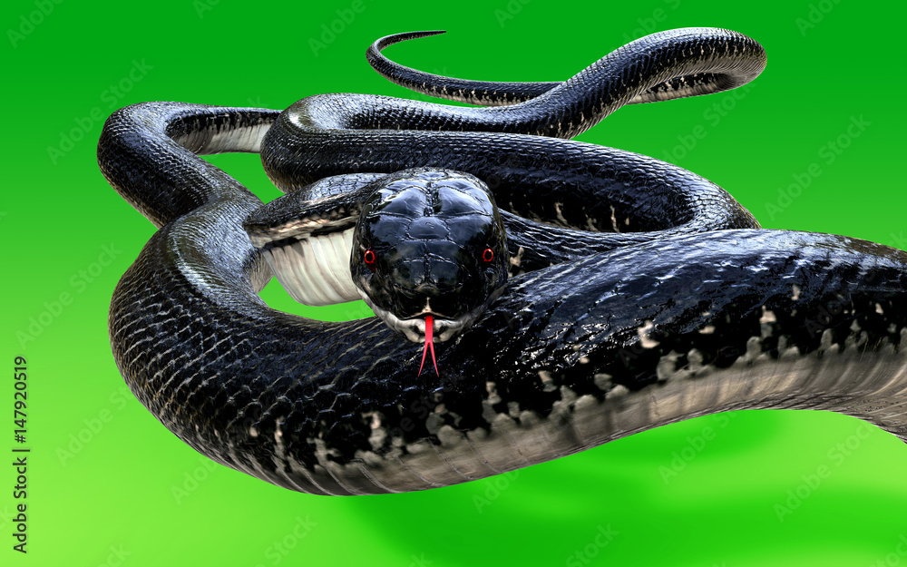 Sự thần bí và đáng sợ của rắn hổ mang đen đã trở thành một chủ đề được đề cập rất nhiều trong lịch sử. Chúng tôi sẽ mang đến cho bạn sự trải nghiệm đầy ấn tượng với bức ảnh rắn hổ mang đen 3D. Hãy xem và cảm nhận sự tinh tế trong thiết kế của chúng tôi!