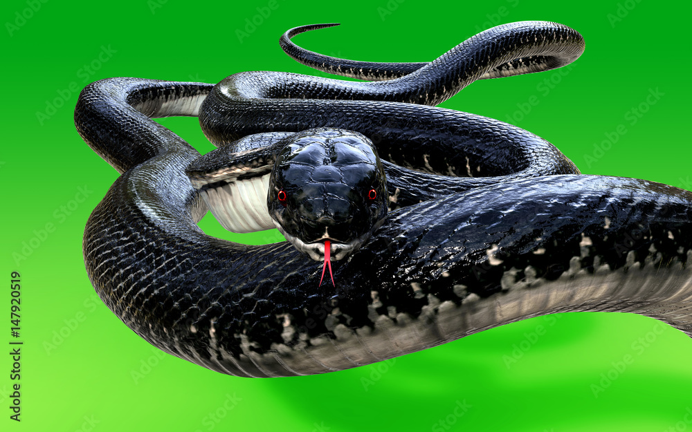 Fototapeta premium 3d King Cobra Black Snake Najdłuższy na świecie jadowity wąż izolowany na zielonym tle, kobra królewska ilustracja 3d, kobra królewska renderowanie 3d