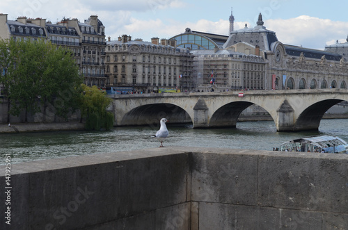 Sekwana w Paryżu latem/Seine in Paris at summer time, Ile-de-France, France