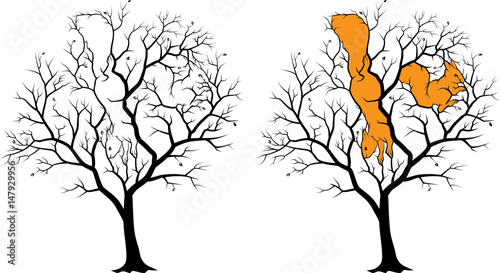 Две спрятанные белки на дереве, картинка-загадка с отгадкой. Черный силуэт на белом фоне, отгадка подсвечена оранжевым.