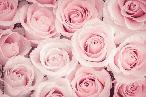 close up of pink roses background