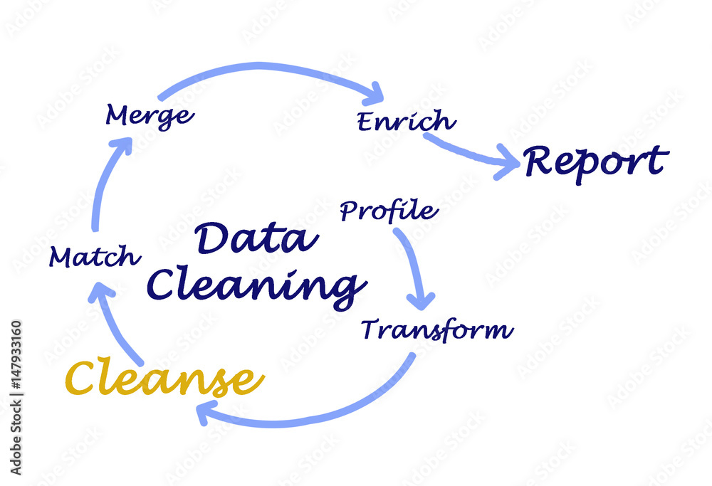 Data Cleaning Data Cleaning