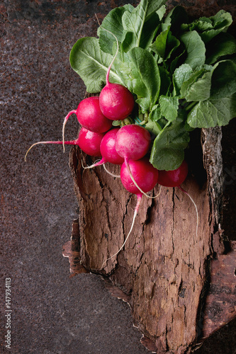 Fresh organic ripe young radish bundle with leaves on wooden bark over dark metal texture background. Top view with space